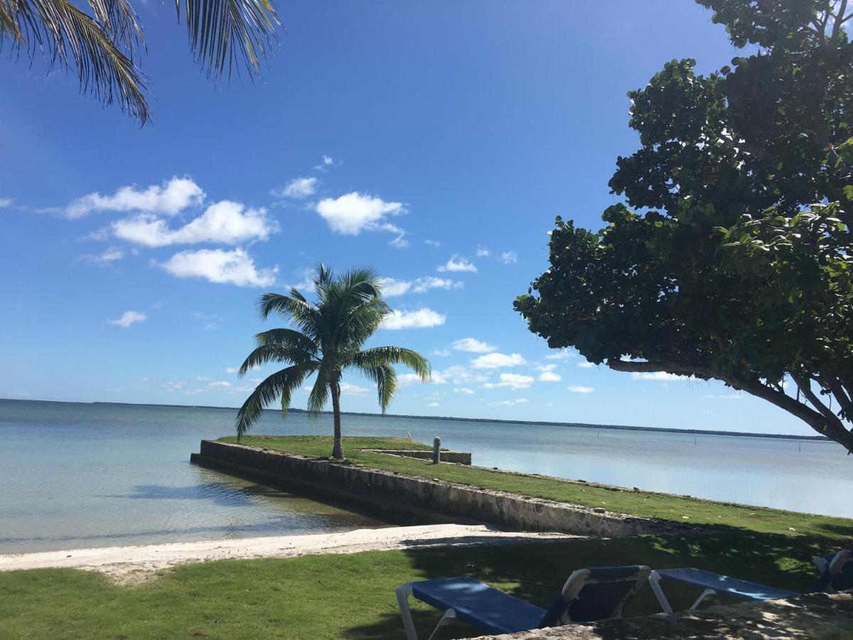 Almond Tree Hotel Resort Corozal Eksteriør billede