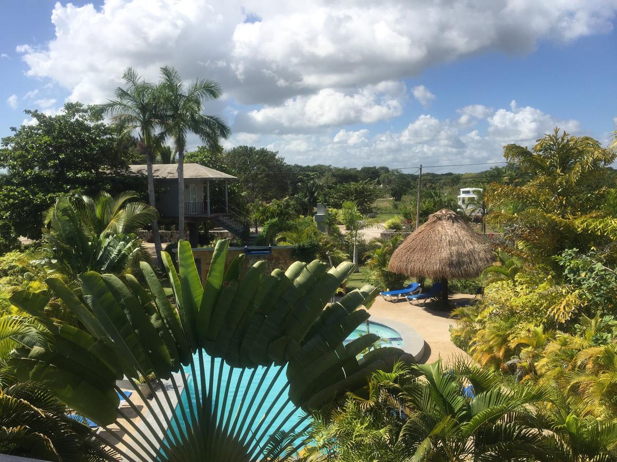 Almond Tree Hotel Resort Corozal Eksteriør billede