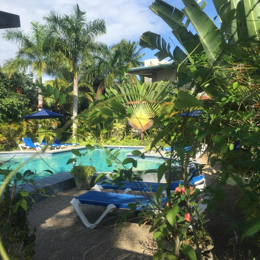 Almond Tree Hotel Resort Corozal Eksteriør billede